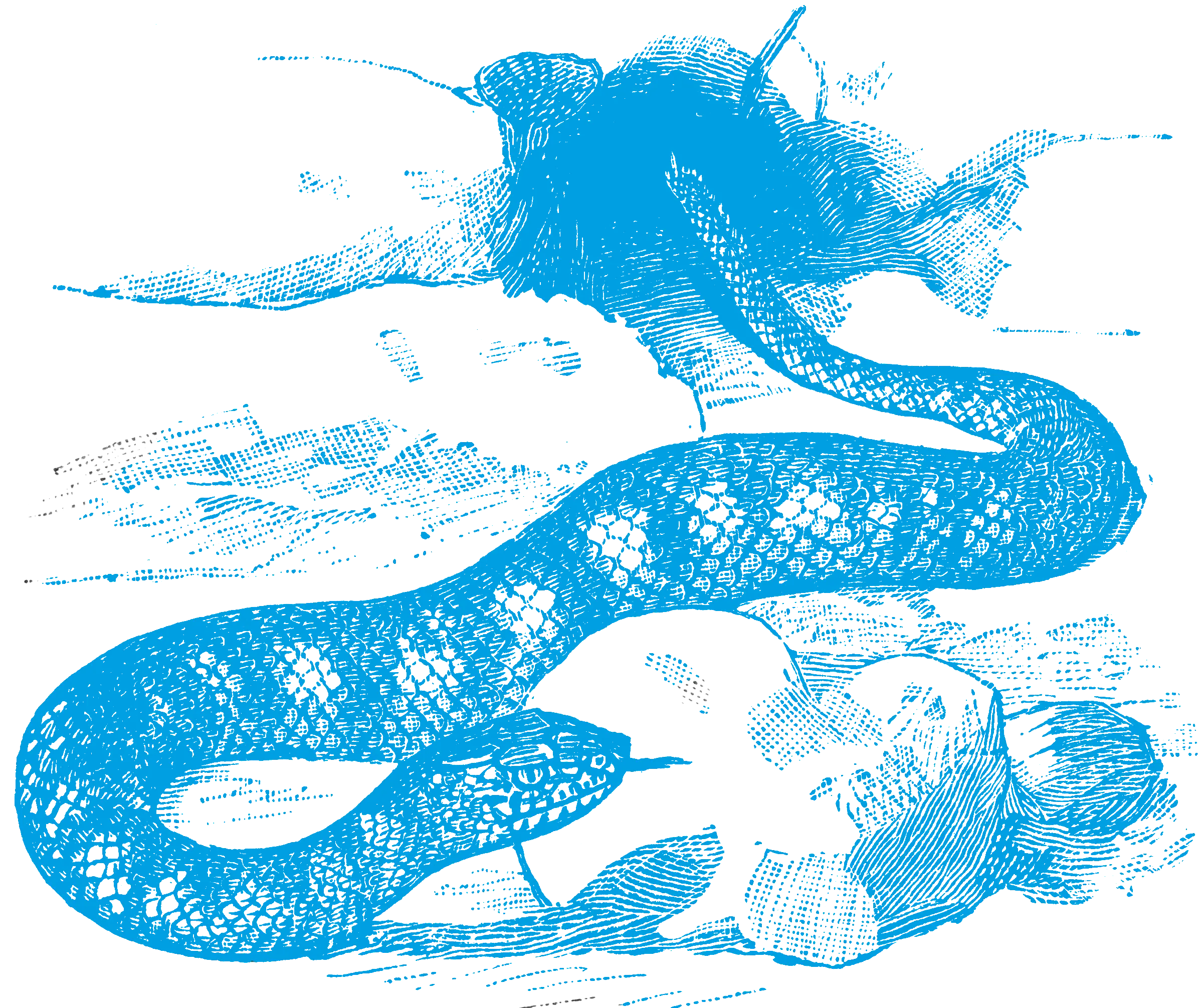 snake background to display meduza typeface